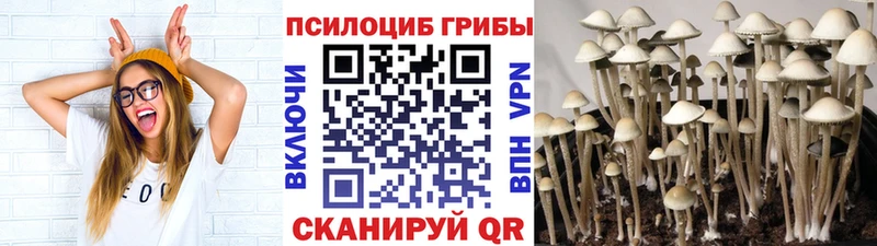 hydra tor  Малаховка  Галлюциногенные грибы GOLDEN TEACHER  как найти закладки 